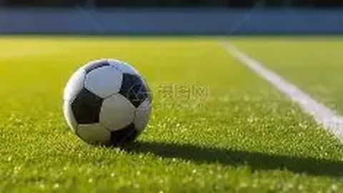 沈梦辰透露感情状况：敷衍成常态，渐行渐远令人惋惜