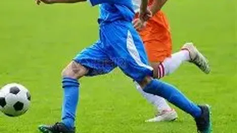 云顶娱乐 产品 084248 80m