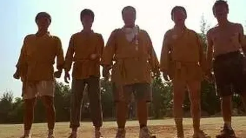 【独家揭秘】德甲赛事深度解析：比分解析+胜负幕后大揭秘！