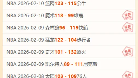 “揭秘：申花亚冠争议进球事件真相揭晓”