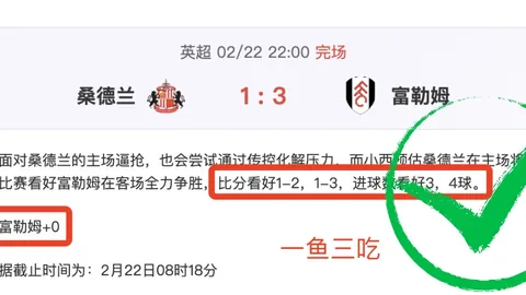 2028非洲杯全新启幕，四年一度盛宴与国家联赛同步扬帆起航！