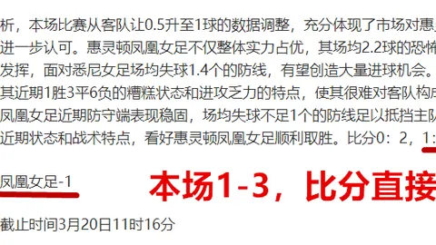王楚钦孙颖莎肩负奥运重任，三项全能挺身主力